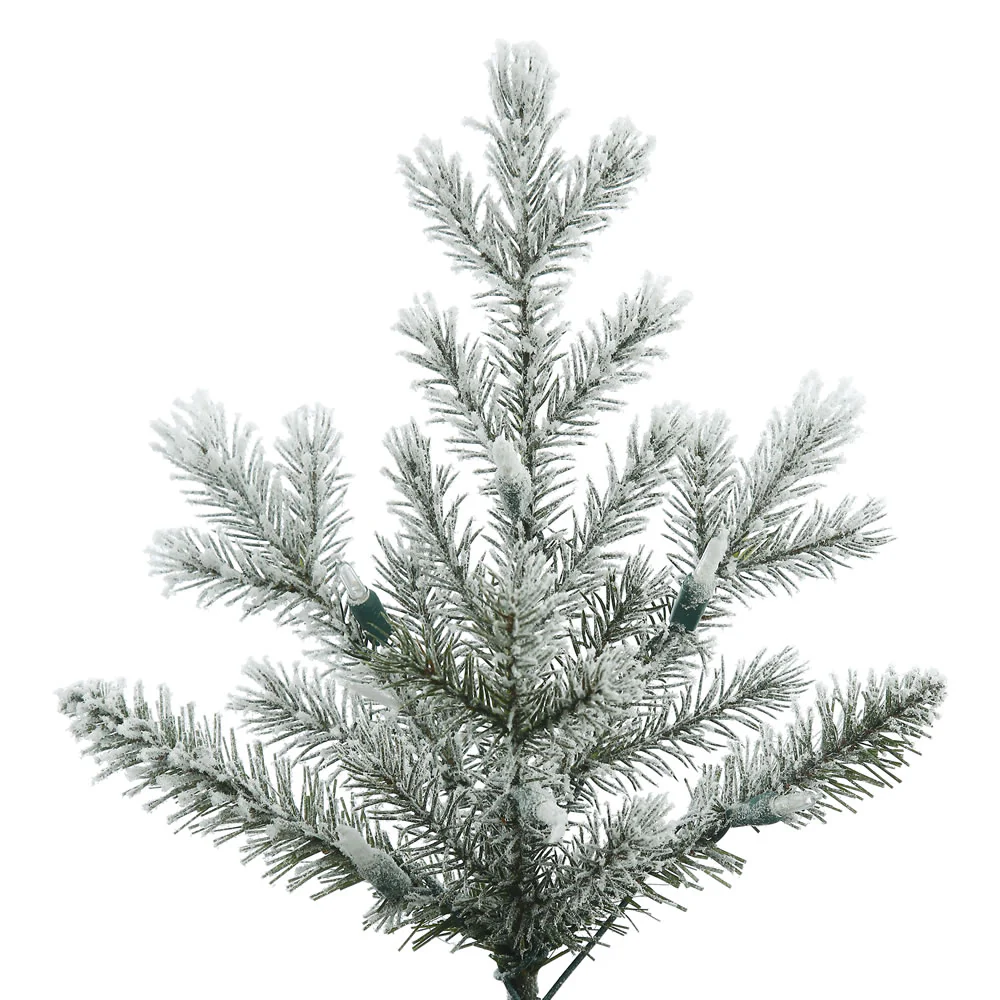 Vickerman 9' Frosted Eastern Fraser Fir Artificial Christmas Tree Unlit - Cheap-Us