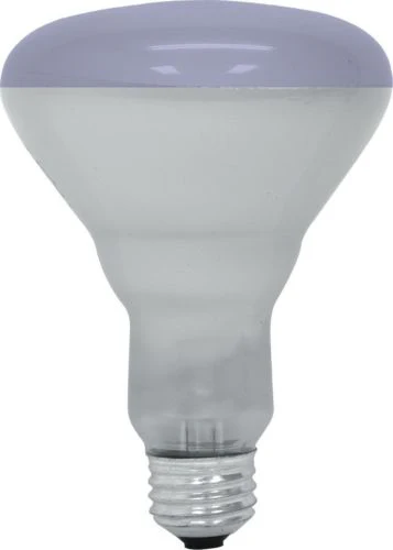 GE Lighting 20996 65-Watt R30 Plant Flood Light Bulb, Plant Light - Cheap-Us