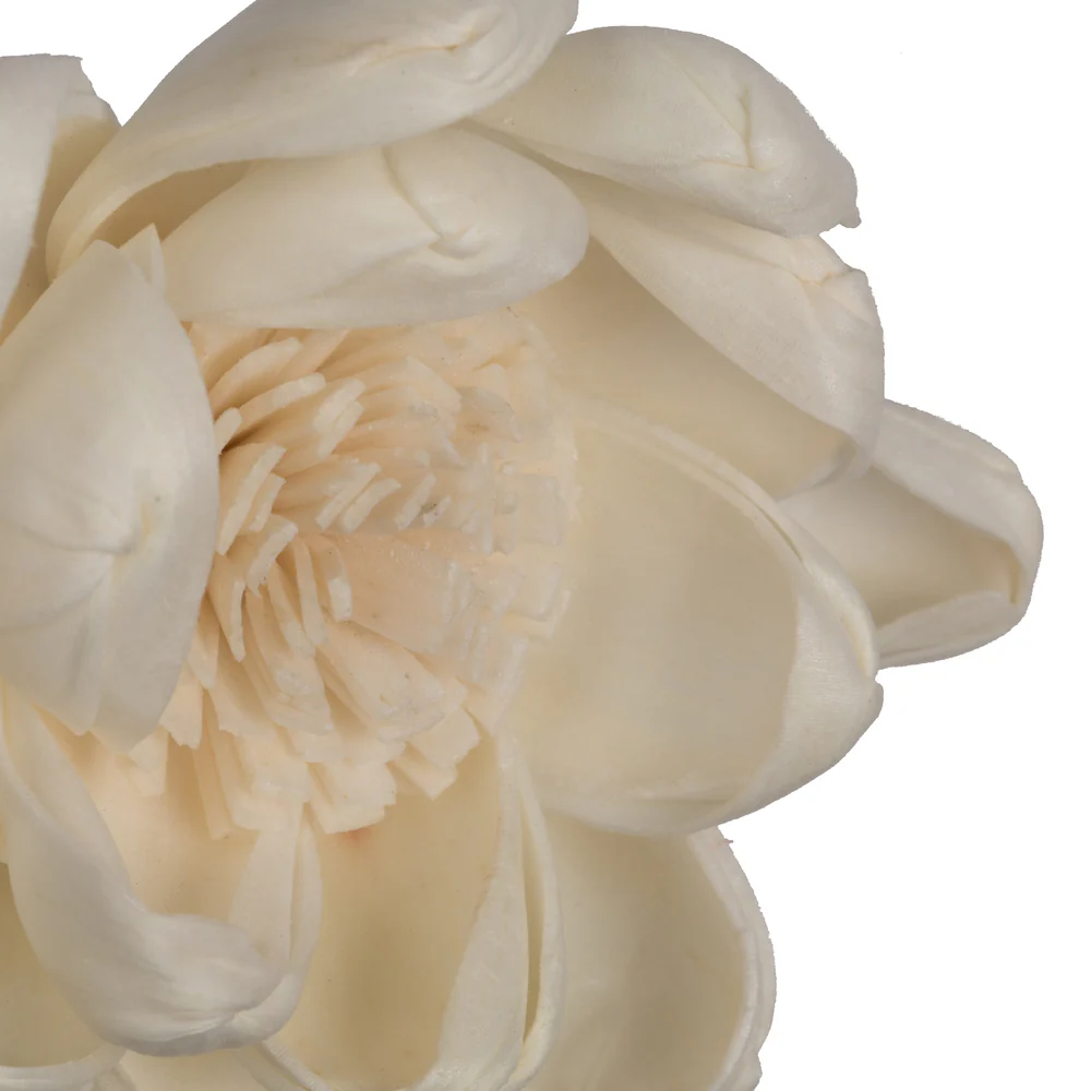 Vickerman Natural Botanicals 1.6