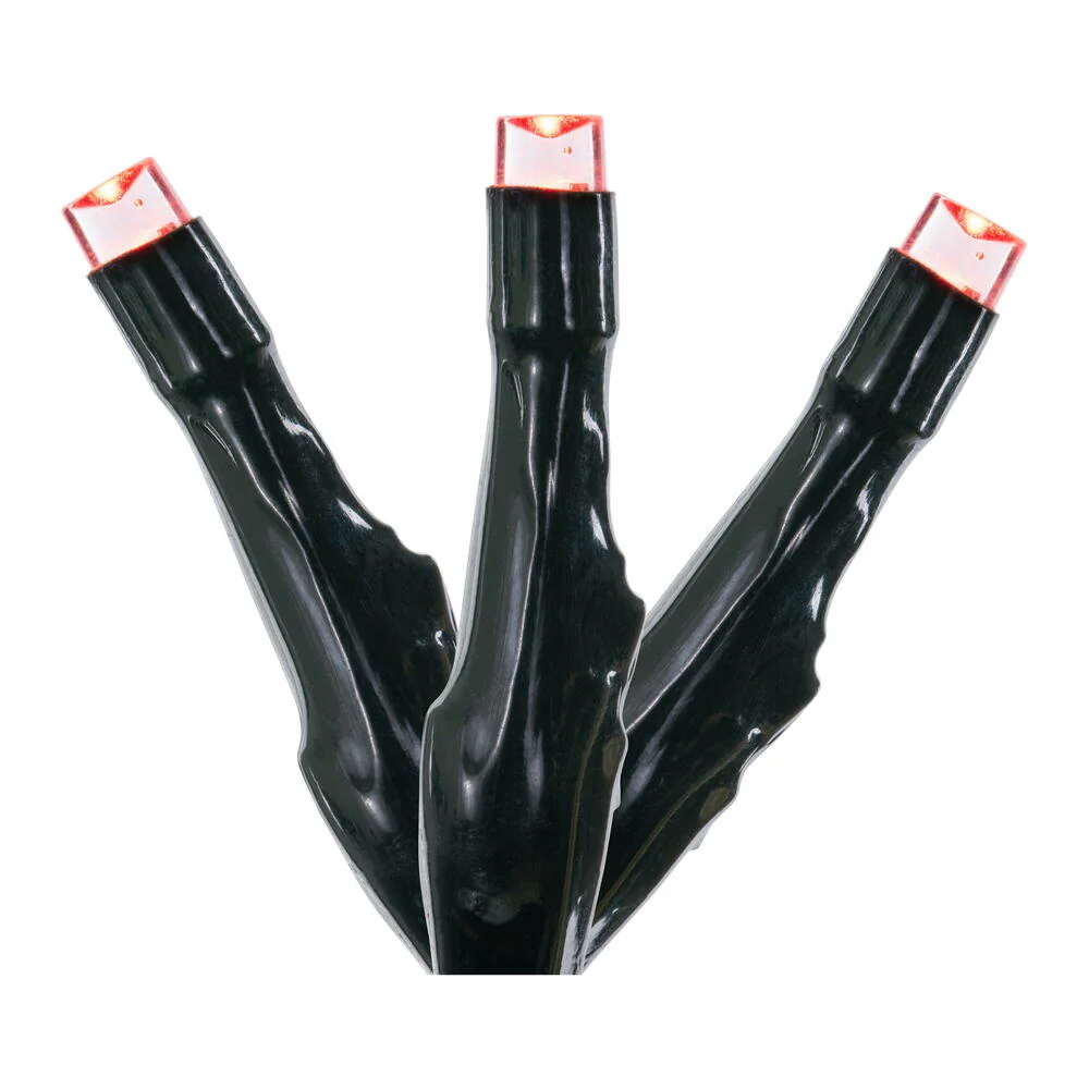 Vickerman 1000Lt LED Multi Cluster Light Set, 34' Long, 8 Function Memory Remote Controlled, Coaxial End Connect up to 3 Sets. Has 8 Hour On/Off Timer, Green Wire with 16' Lead Power Cord to Low Voltage Adapter.  UL Approved for Indoor/Outdoor Use. - Cheap-Us