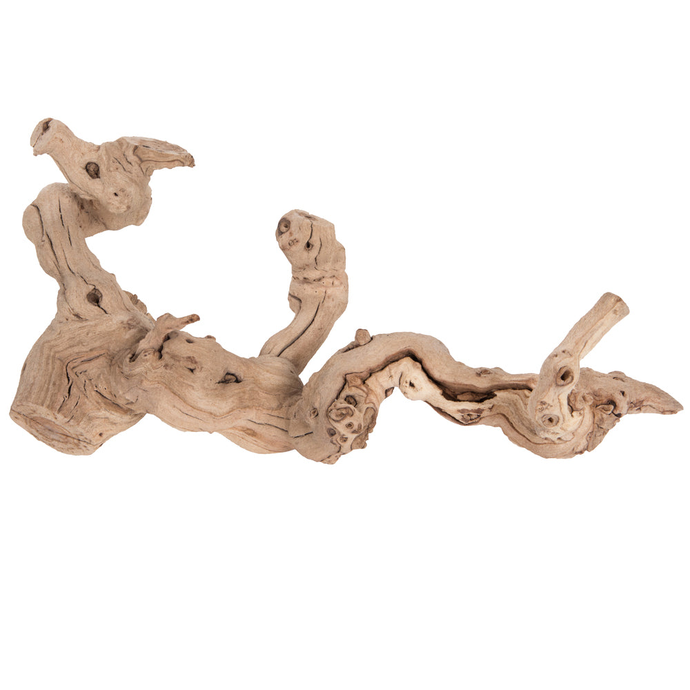 Vickerman Grapewood Sand Blasted trunk branchy Dried - Cheap-Us