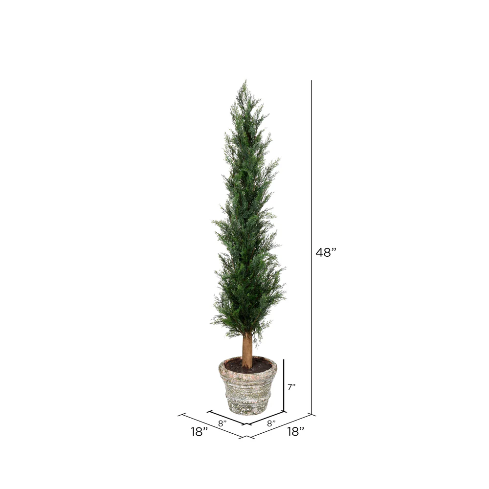 Vickerman 48