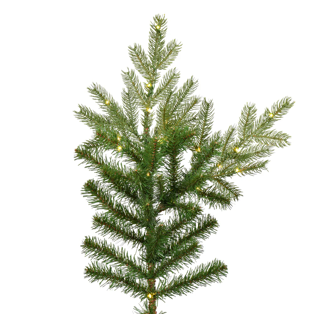 Vickerman 6.5' x 63