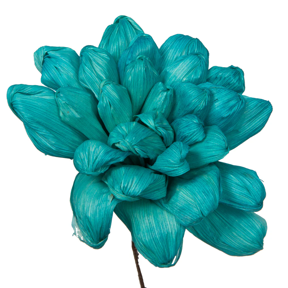 Vickerman Natural Botanicals 6