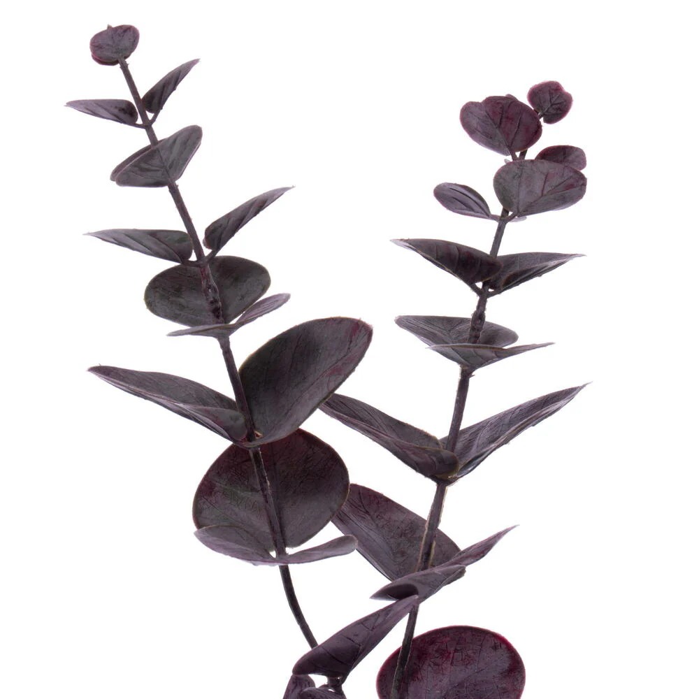 Vickerman 6' Artificial Burgundy Spiral Eucalyptus Garland - Cheap-Us