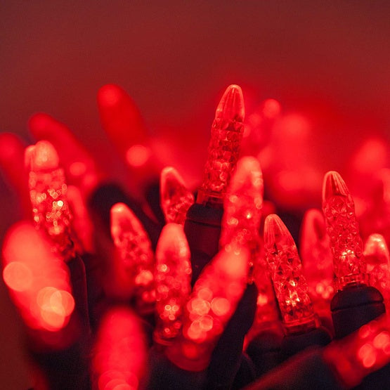 50 Light LED Mini Ice (M5) Light Set Red Bulbs on Green Wire, Approx. 17'8