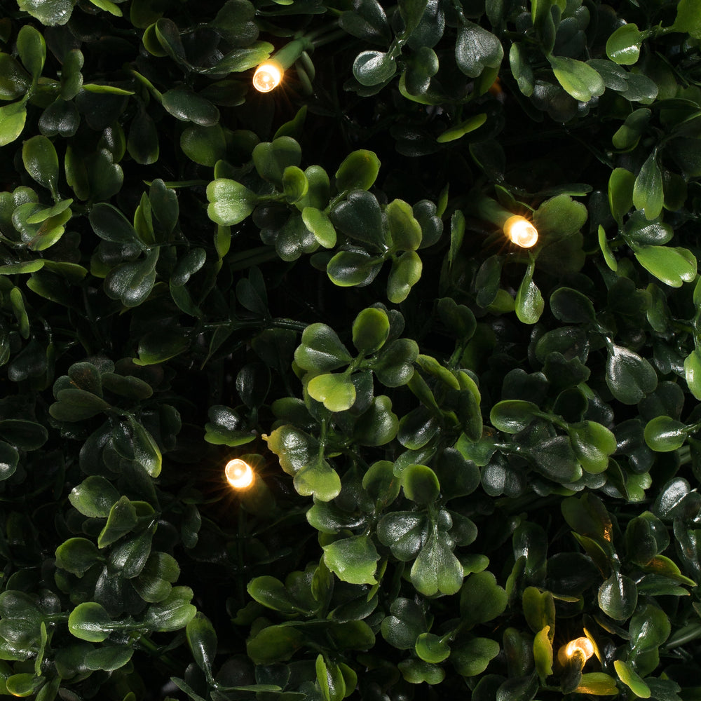 Vickerman 5' Potted Artificial Boxwood Cone with 150 Warm White LED Lghts. - Cheap-Us