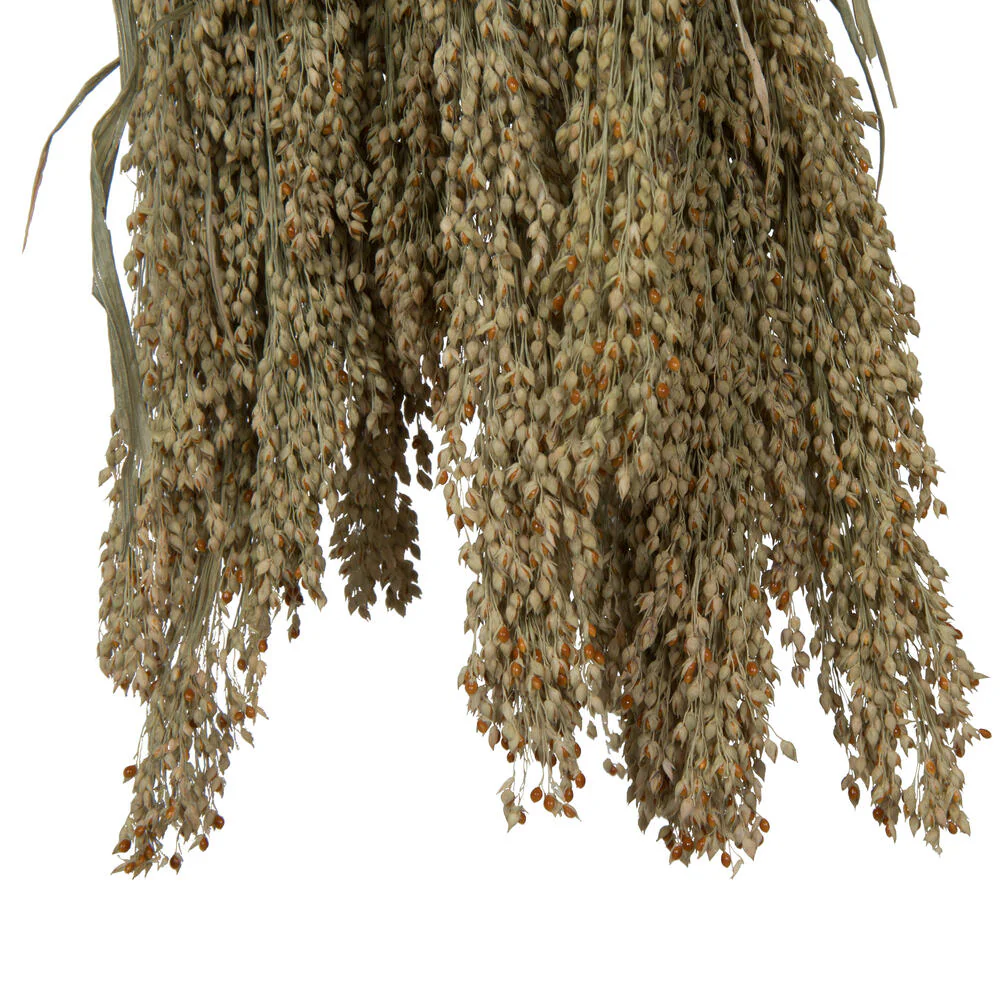 Vickerman Natural Botanicals 22-26