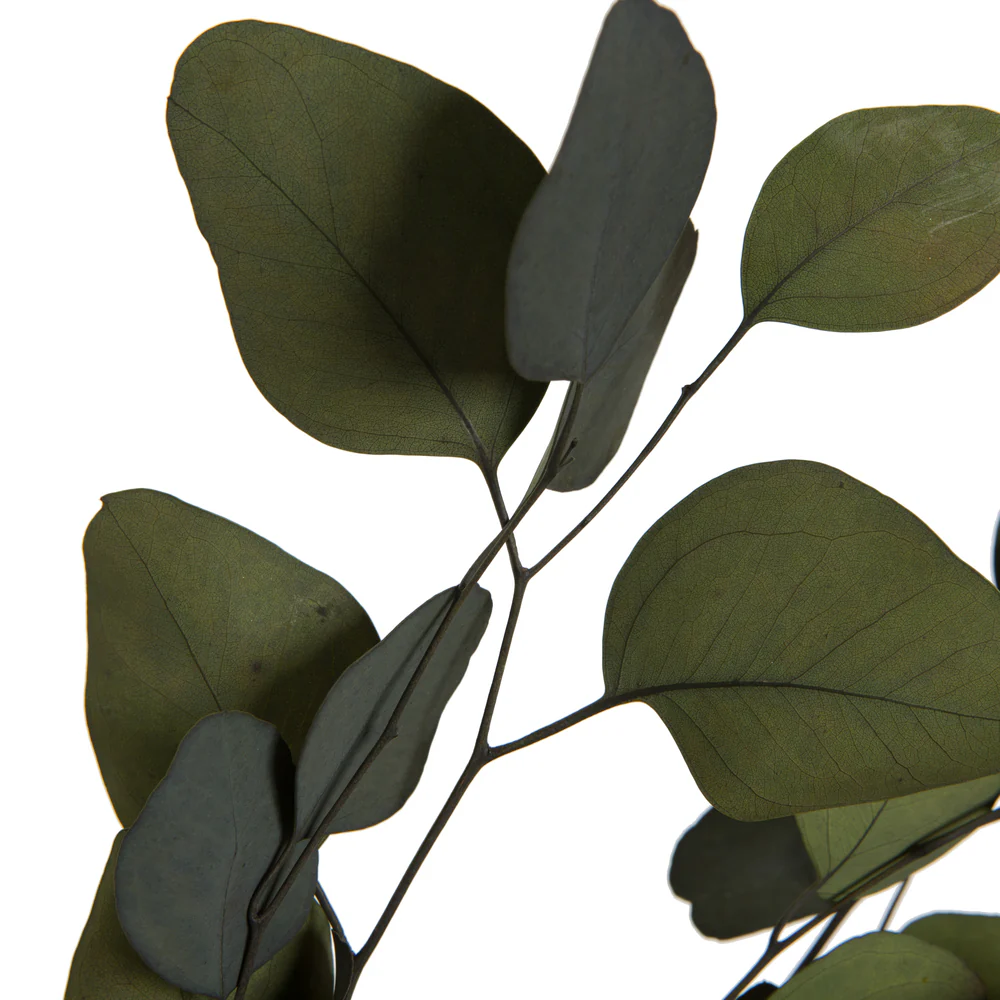 Vickerman Natural Botanicals 18-20