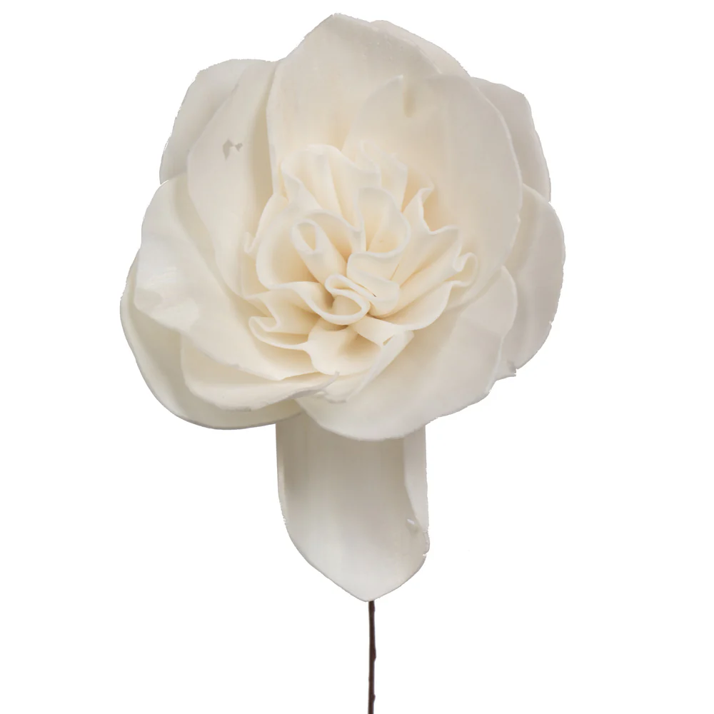 Vickerman Natural Botanicals 4