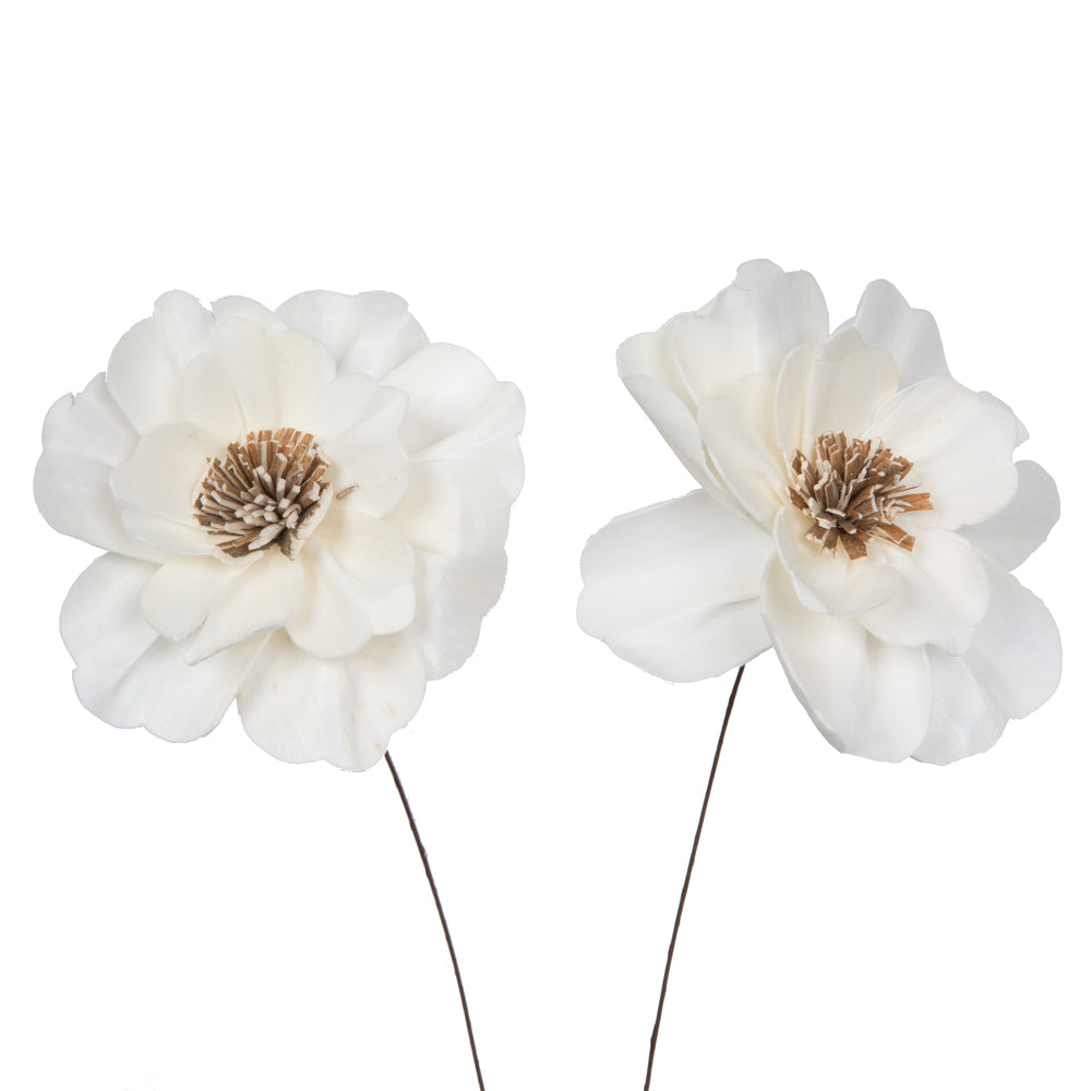 Vickerman Natural Botanicals 4