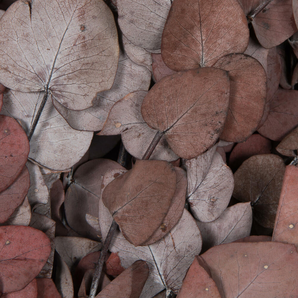 Vickerman Natural Botanicals 18-20