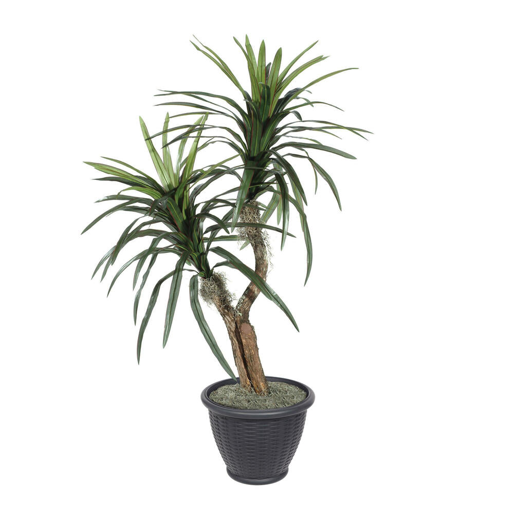 Vickerman 4' Artificial Marginata Bush Gray Round Plastic Container. - Cheap-Us