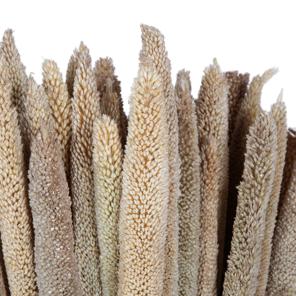 Vickerman Natural Botanicals 24