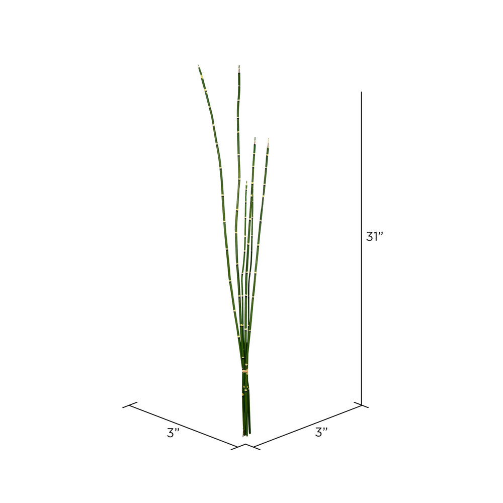 Vickerman 31'' Artificial Green Horsetail Bundle Pack of 2 - Cheap-Us
