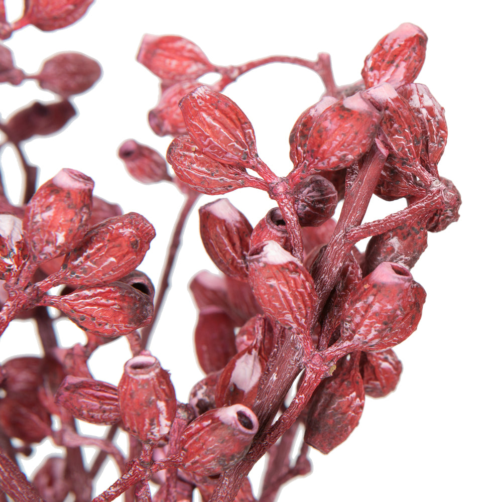 Vickerman Natural Botanicals 12