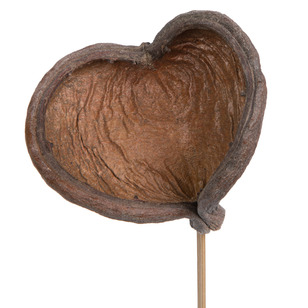 Vickerman Natural Botanicals 20