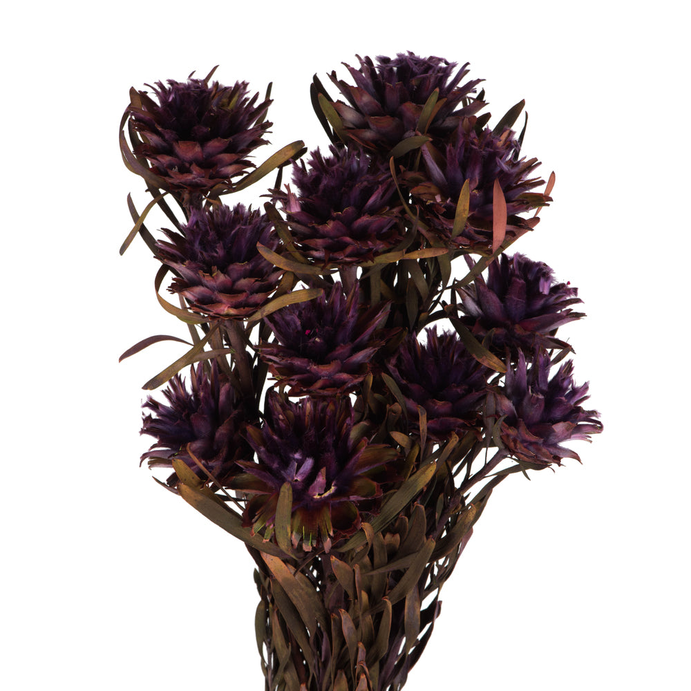 Vickerman 8-20
