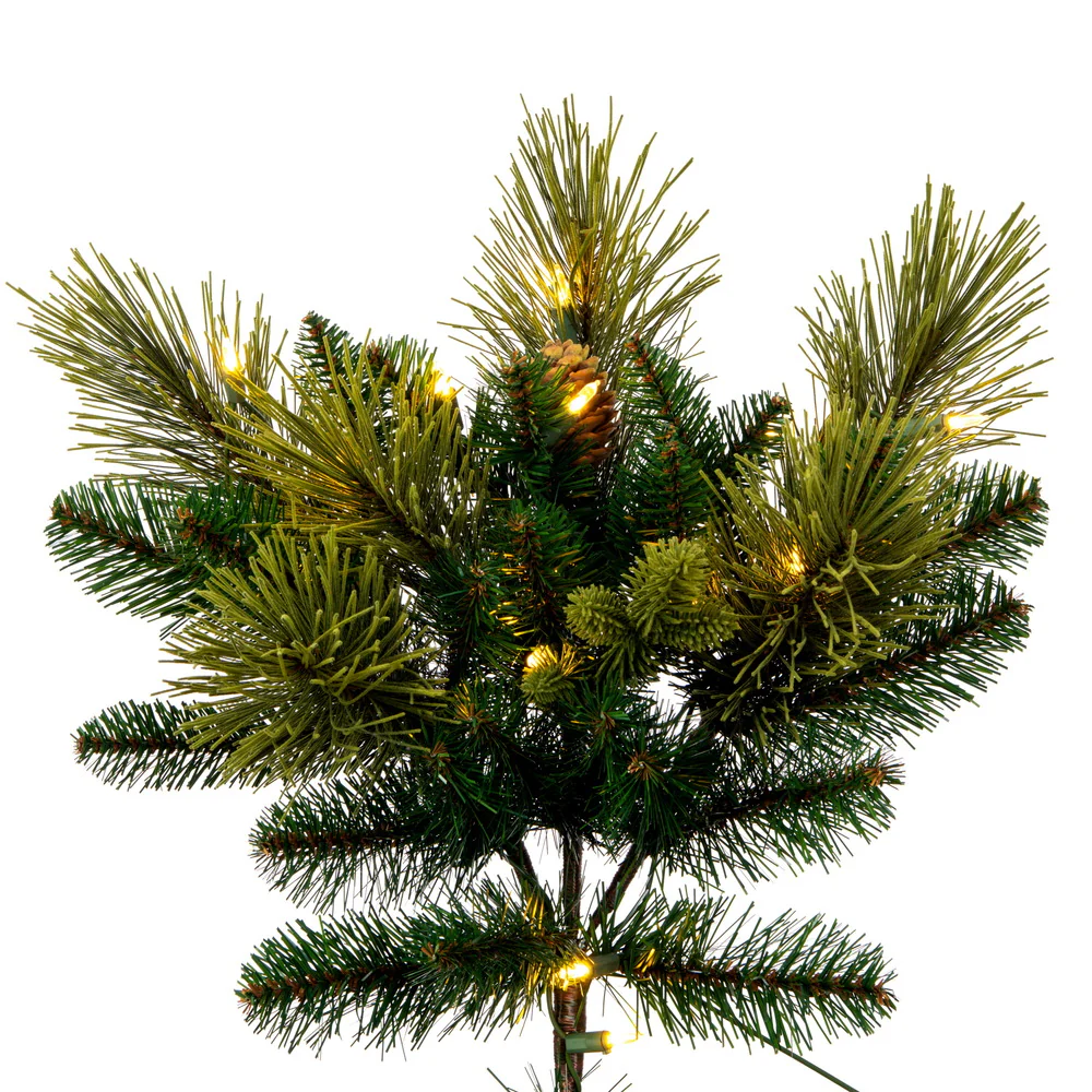 Vickerman 6.5' x 56