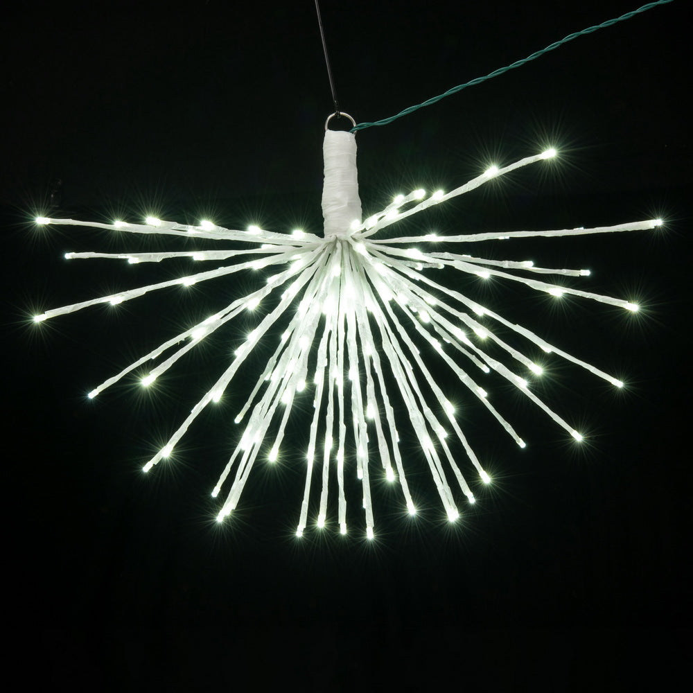 Vickerman 160Lt x 24