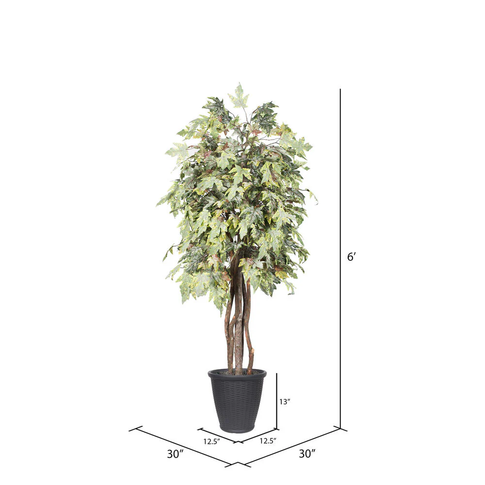 Vickerman 6' Artificial Frosted Maple Executive Tree Gray Round Plastic Container. - Cheap-Us