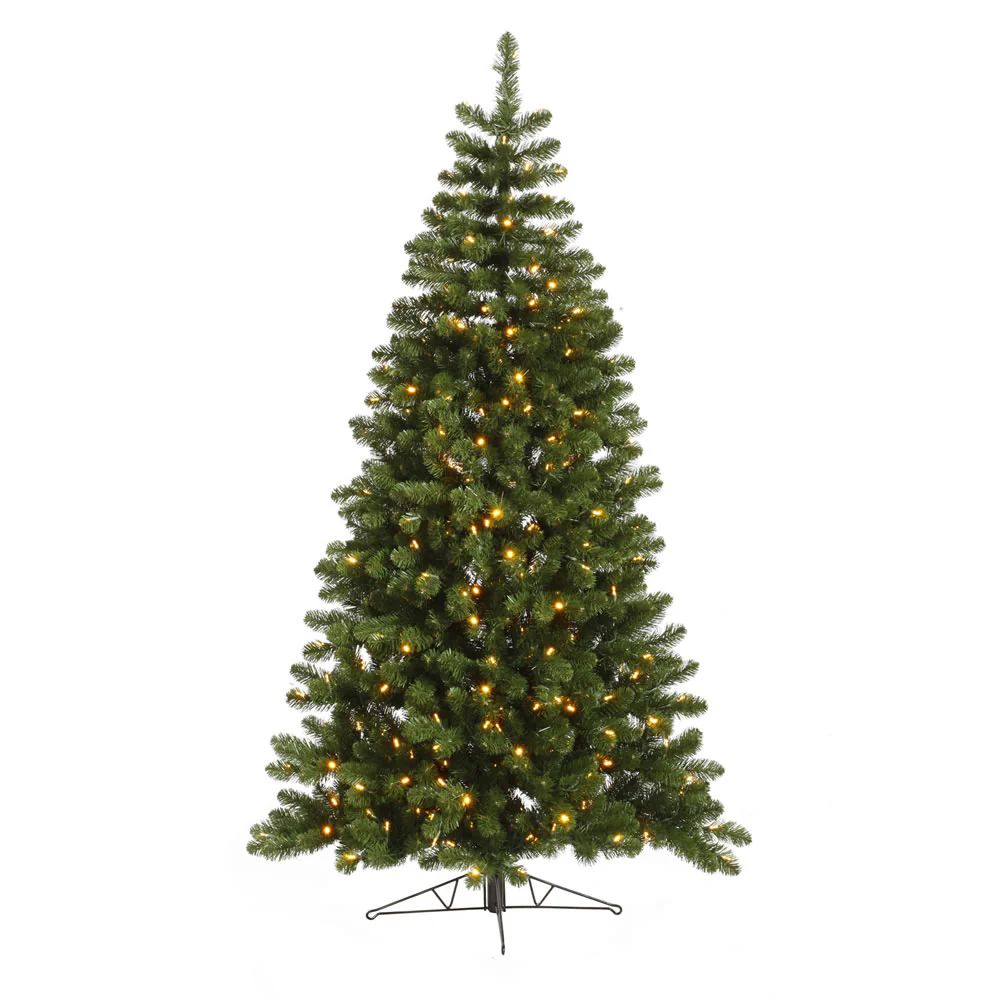 Vickerman 9.5' x 62