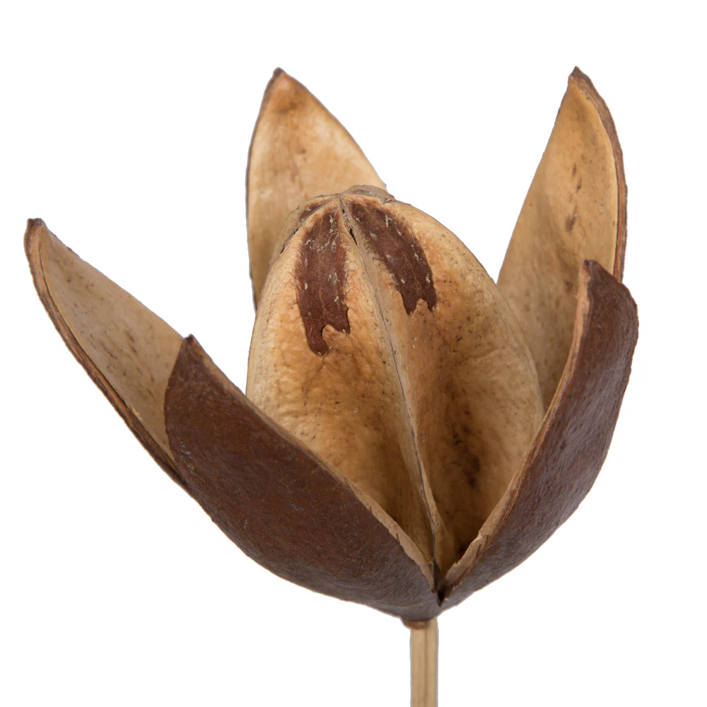 Vickerman Natural Botanicals 20