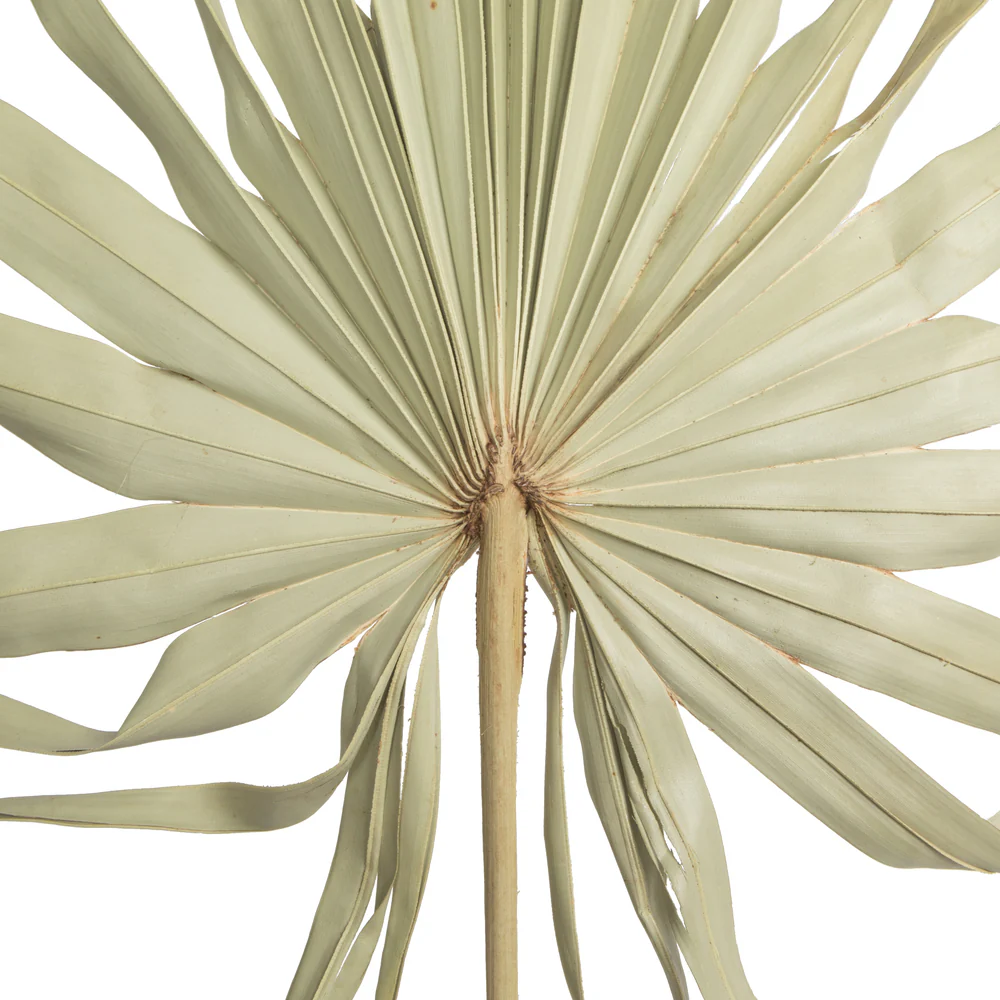 Vickerman Natural Botanicals 32-40