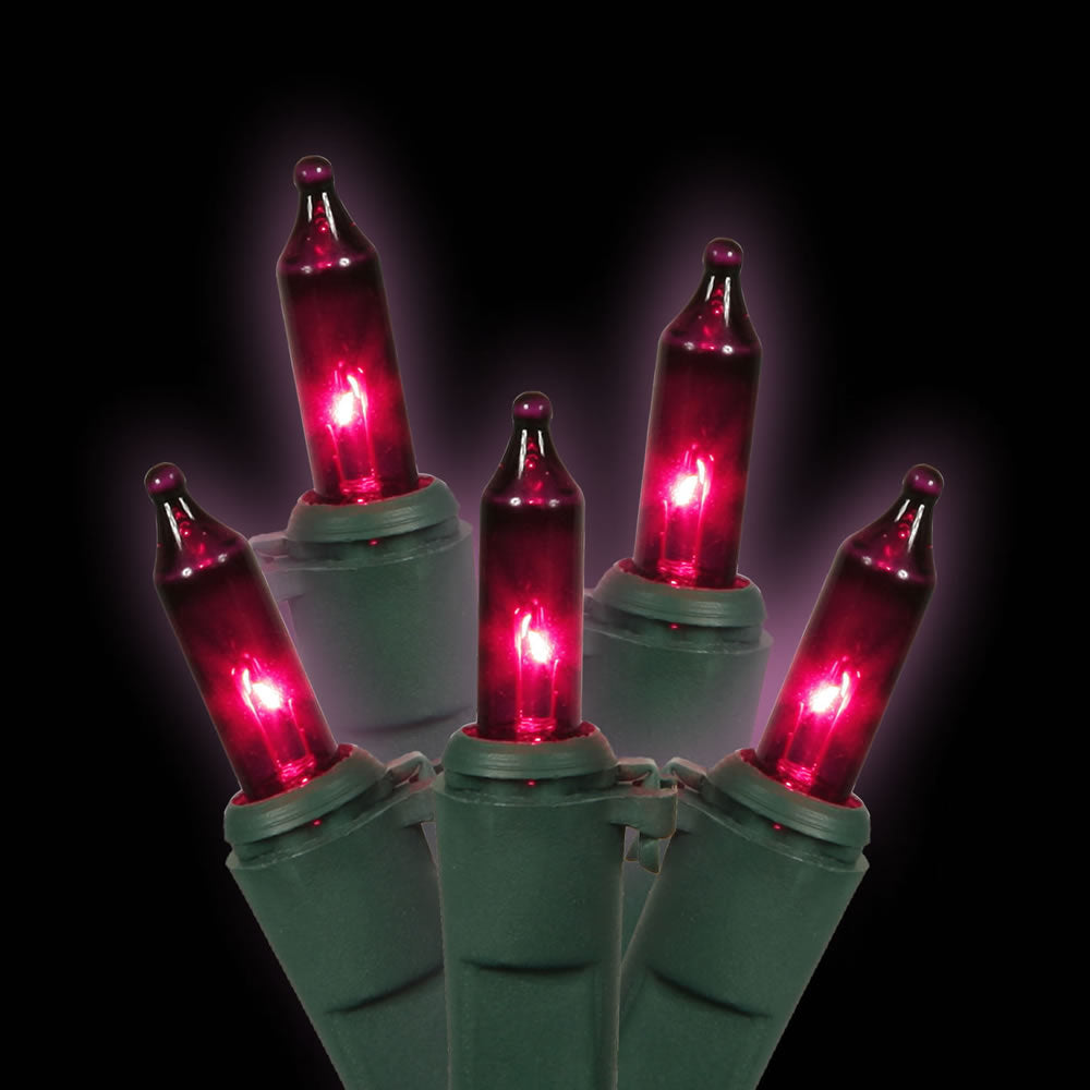 Vickerman 50 Purple Mini Light on Green Wire, 23' Christmas Light Strand- 2 Pack - Cheap-Us