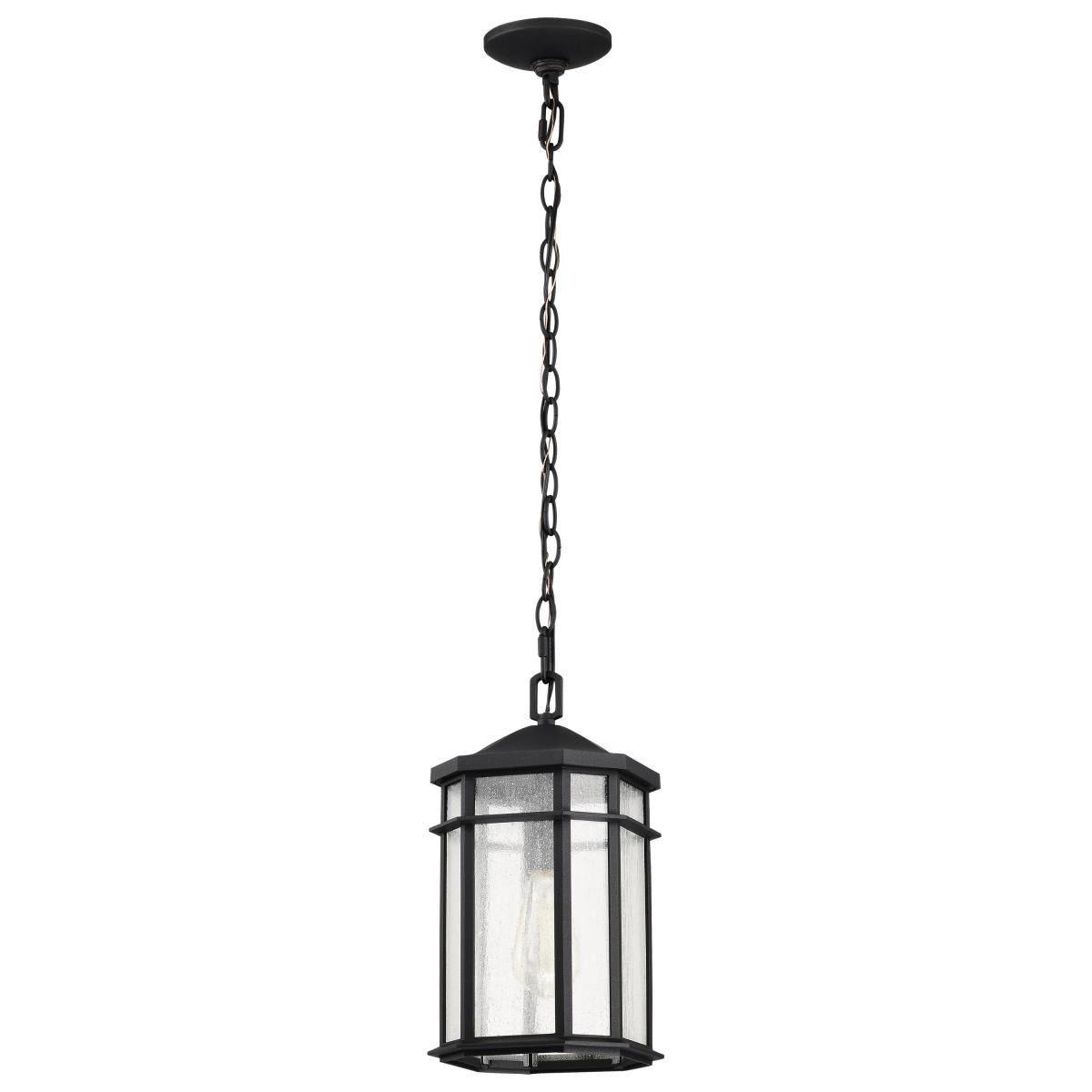60-5759 RAIDEN 1LT OUTDOOR HANGING Raiden Collection Outdoor 14.5 inch Hanging Light; Matte Black Finish with Clear Seedy Glass - Cheap-Us
