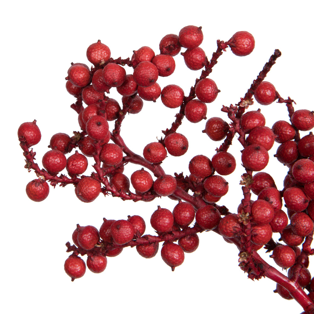 Vickerman Natural Botanicals 6