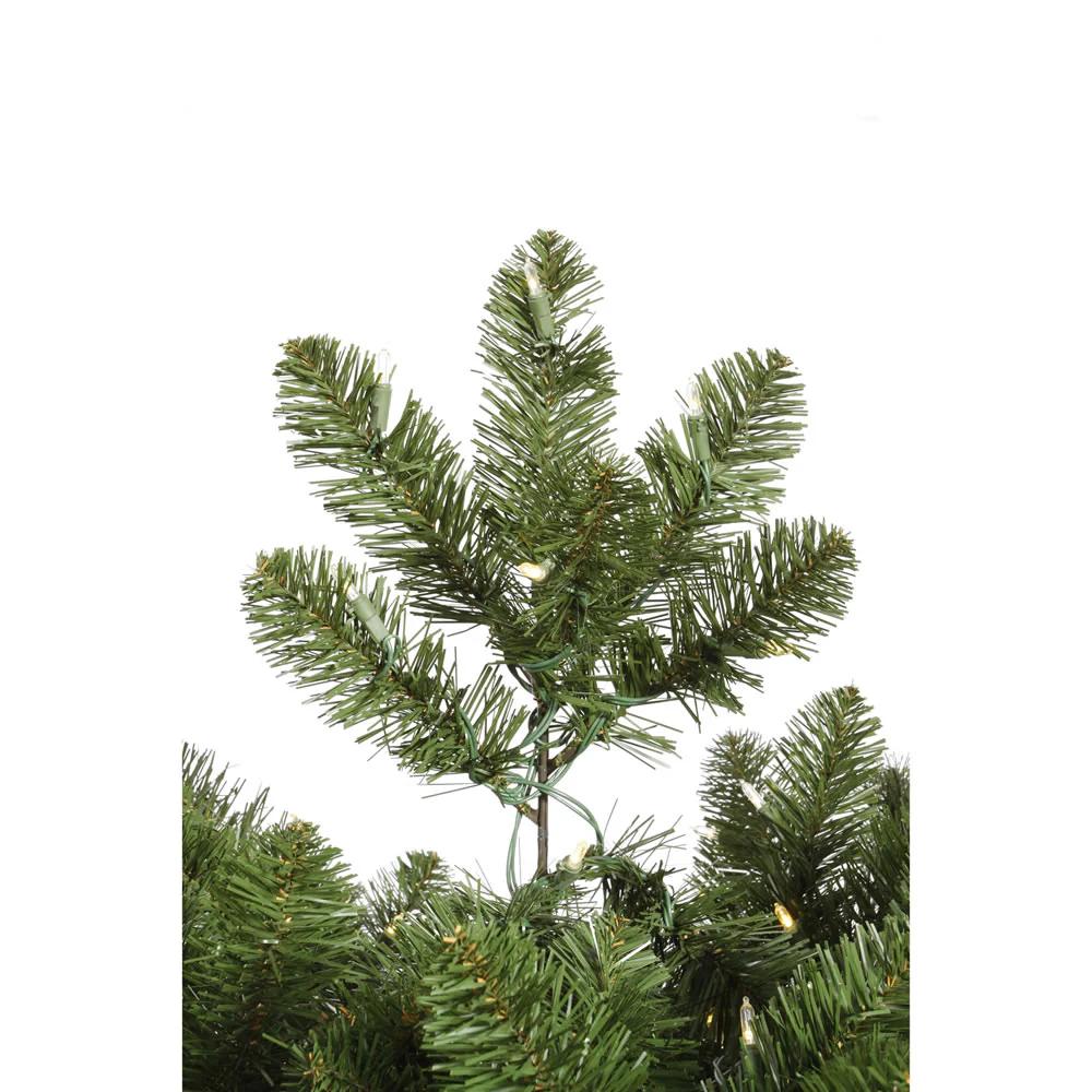 Vickerman 9.5' x 62