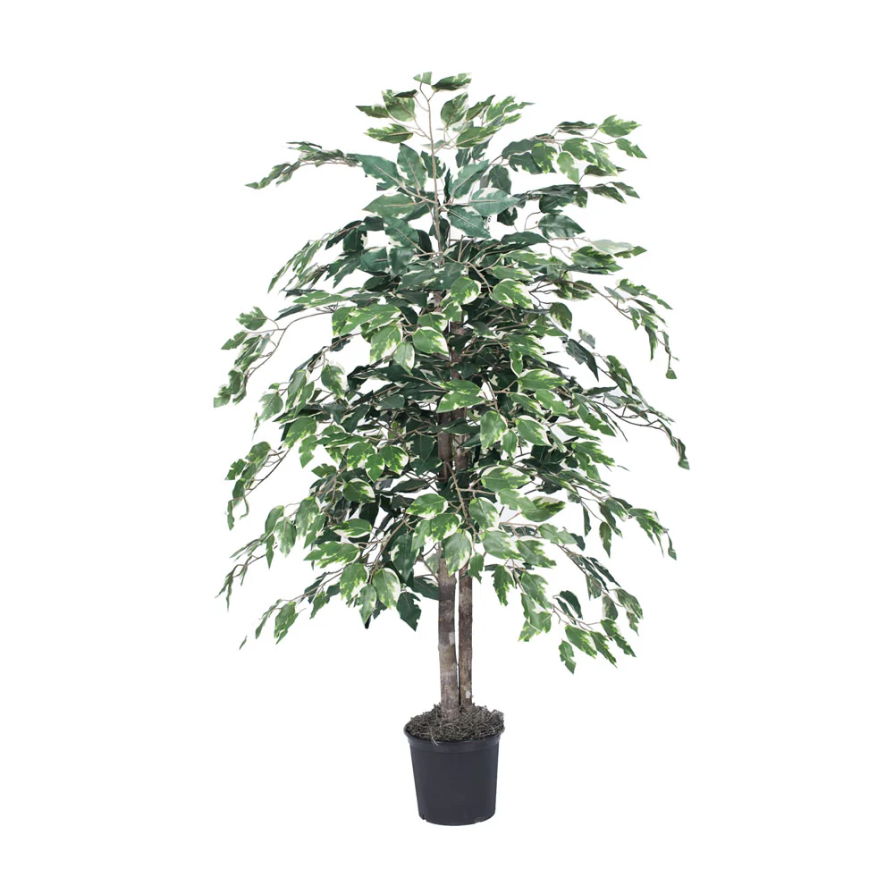 Vickerman 4' Artificial Variegated Ficus Bush Black Plastic Pot. - Cheap-Us