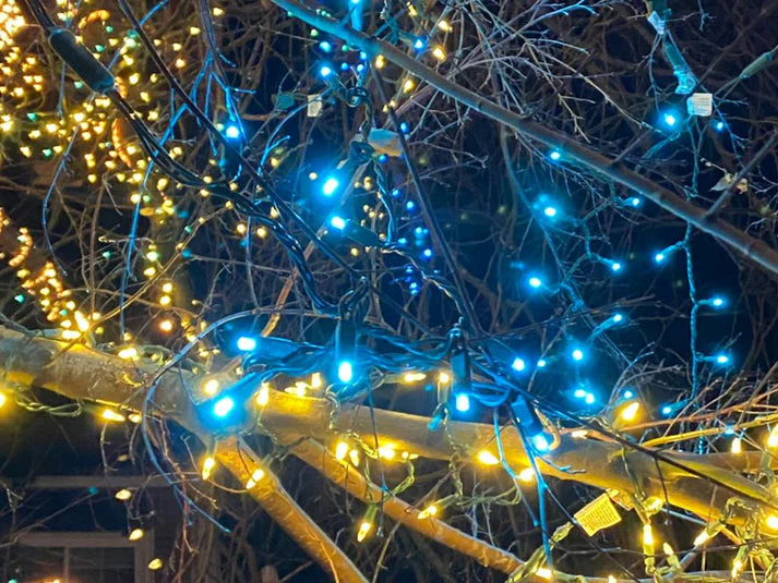 50-LITE RECTIFIED 5MM LED LIGHT SET; TEAL BULBS; GREEN WIRE, Approx. 17'4