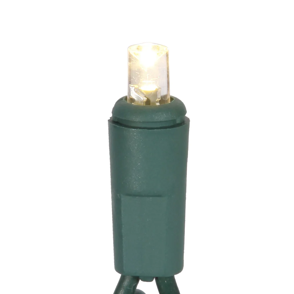 Vickerman 50 Warm White Twinkle Wide Angle LED Light on Green Wire, 25' Light Strand.- 2 Pack - Cheap-Us