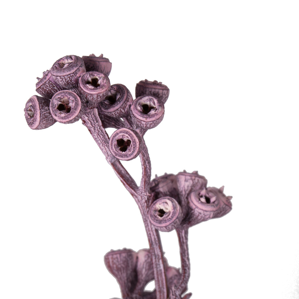 Vickerman Natural Botanicals 13