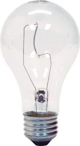 GE Lighting 97478 25-Watt 215-Lumen Decorative A19 Incandescent Light Bulb, Crystal Clear, - Cheap-Us