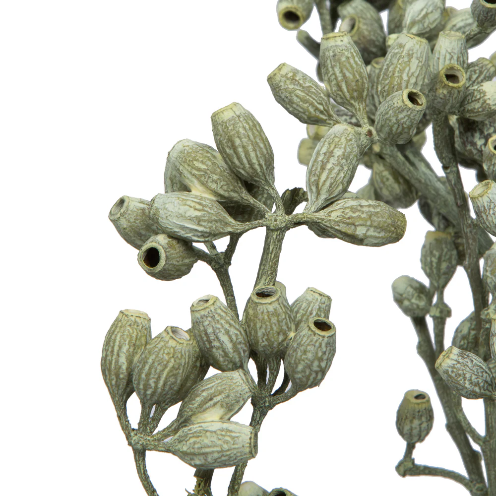 Vickerman Natural Botanicals 12