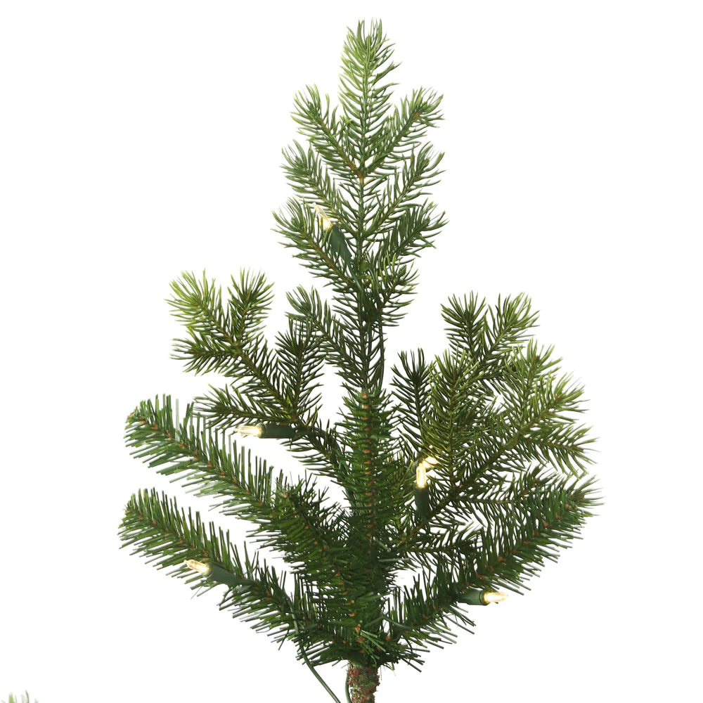 Vickerman 12' x 85