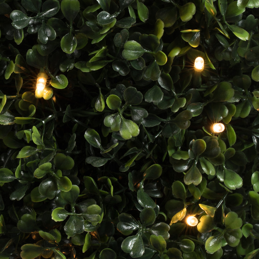 Vickerman 6' Potted Artificial Boxwood Cone with 200 Warm White LED Lghts. - Cheap-Us