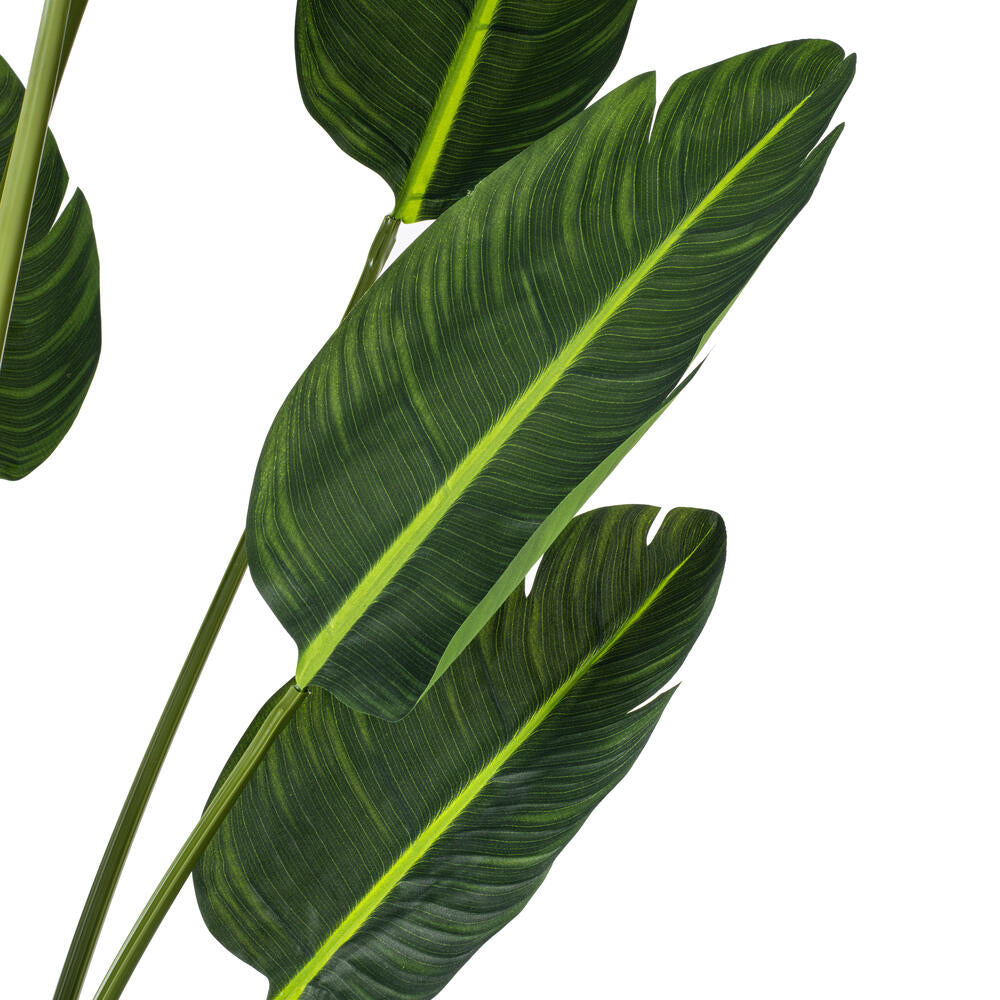 Vickerman 6' Artificial Potted Travellers Palm Tree. - Cheap-Us