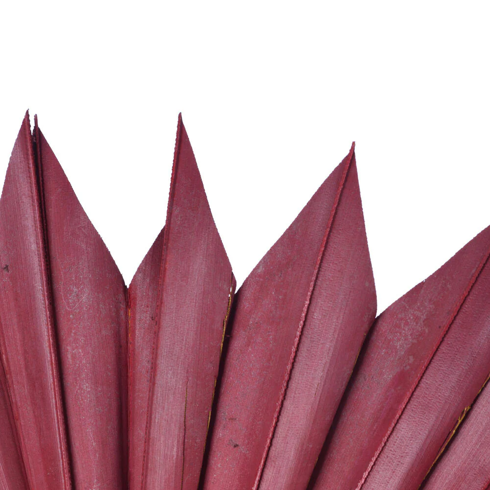 Vickerman Natural Botanicals 13.75 - 19.5