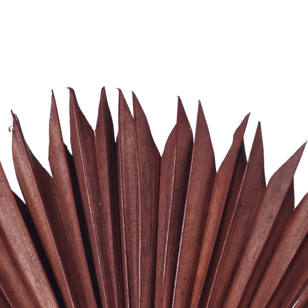 Vickerman Natural Botanicals 13.75 - 19.5