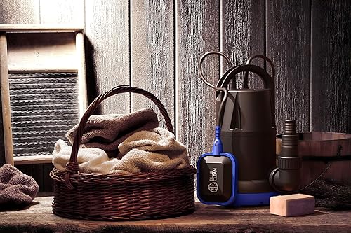 AR Blue Clean Tauchpumpe ARUP 750XC für Klarwasser (750 W, max. Förderleistung 11.000 l/h, max. Förderhöhe 8,5 m) - Cheap-Us