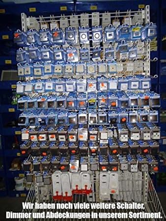 Kopp Paris Serienschalter, IP 20, arktis-weiß, 250V~, 650502062 - Cheap-Us