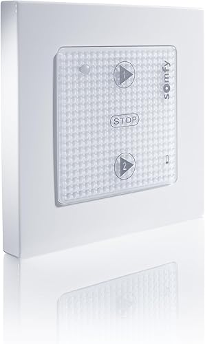 Somfy 2401221 - Szenario Player für TaHoma Switch | Funk-Wandsteuerung | Speichern & Starten von bis zu 2 Szenarien | inkl. Batterie | Schnelle und einfache Montage | Kompatibel mit io-Funkantrieben - Cheap-Us