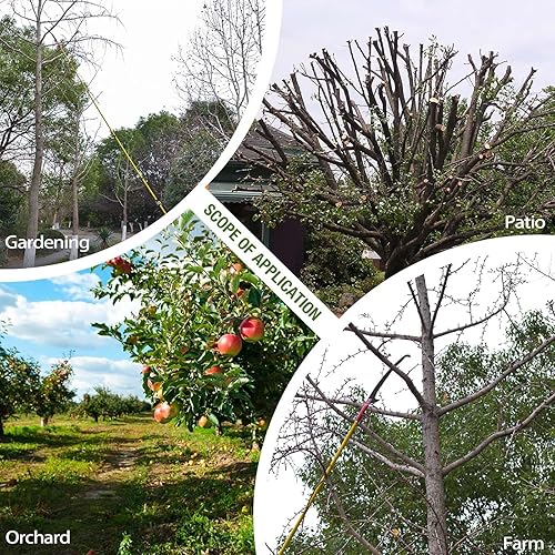 Astsäge mit Teleskopstiel 4,2m Teleskop Astsäge Einstellbare Länge Baumsäge Gartengeräte-Set Hochentaster hochreichbare Stange mit Tragetasche, schneidet sauber und schnell für hohe Äste - Cheap-Us