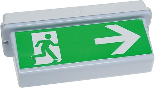 ChiliTec LED Fluchtwegleuchte für Deckenmontage IP65 Wasserfest Erkennung bis 25m nach EN-61547 Mit Piktogrammen - Cheap-Us