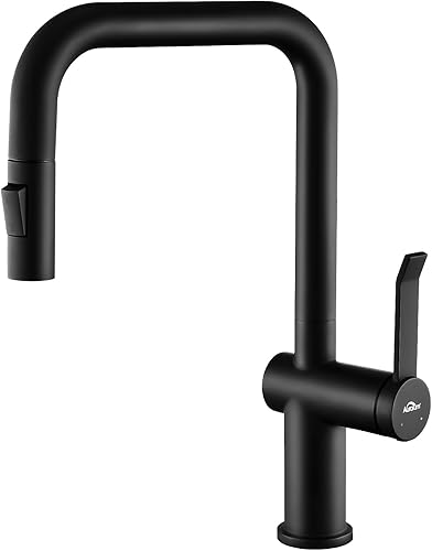 Auralum Küchenarmatur mit Brause Ausziehbar, Wasserhahn mit 2 Wasserstrahlarten, Hochdruck Mischbatterie und Spültischarmatur für Küche, 360° Drehbar, PEX Wasserschlauch in Lebensmittelqualität - Cheap-Us