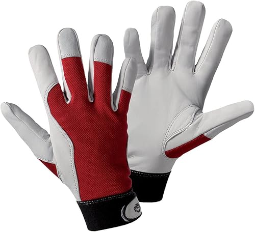 [(language_tag:fr_FR,value:'L+D Griffy 1706 4000371103 DIY, Rouge, XL (10)',$ims_state:(value:appro - Cheap-Us